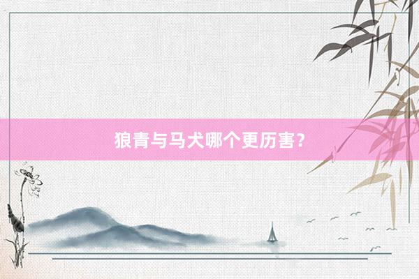 狼青与马犬哪个更历害？